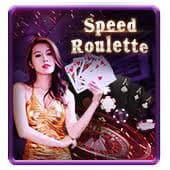 American Roulette Game 